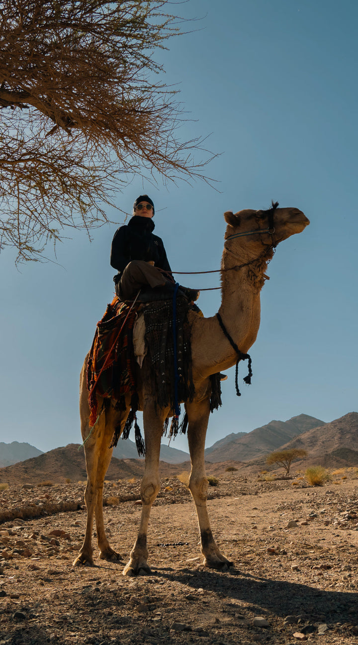 From Donkey Tracks to Desert Dunes: 600km Through Jordan