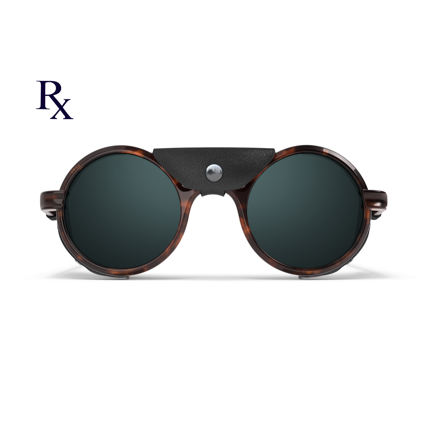 RxHeronOcean_Tortoise-frontview_new