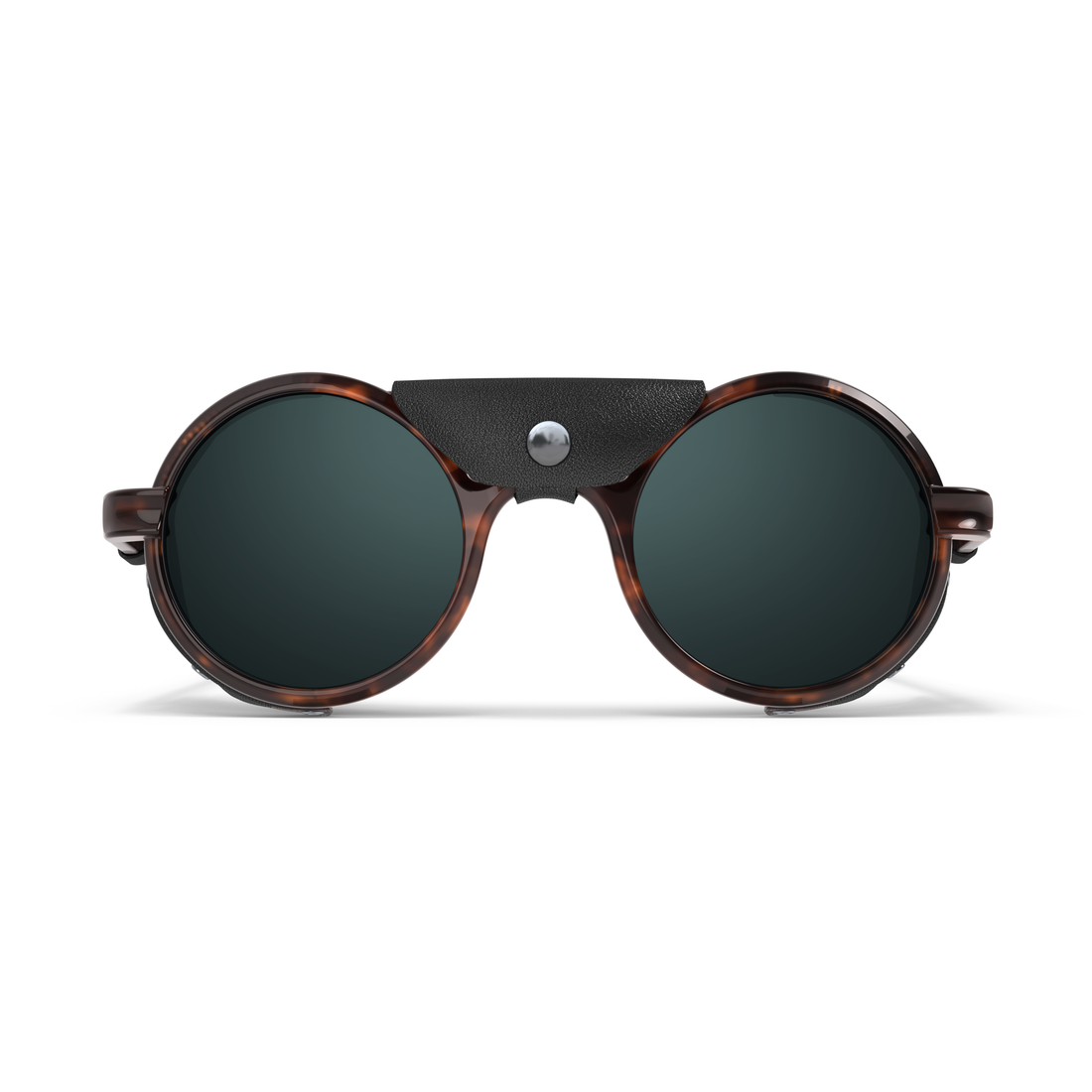 HeronOcean_TOrtoise-frontview_new