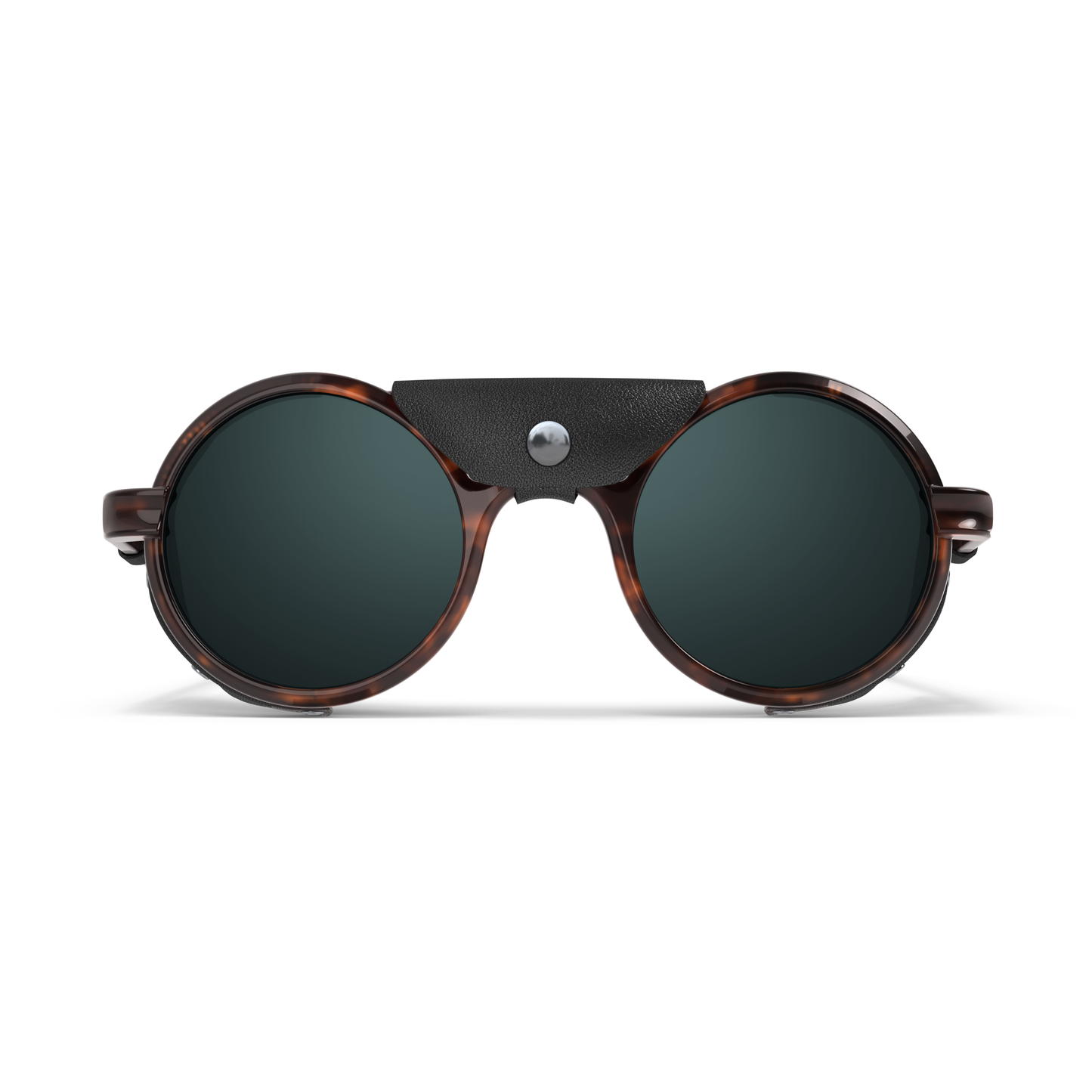 HeronOcean_TOrtoise-frontview_new