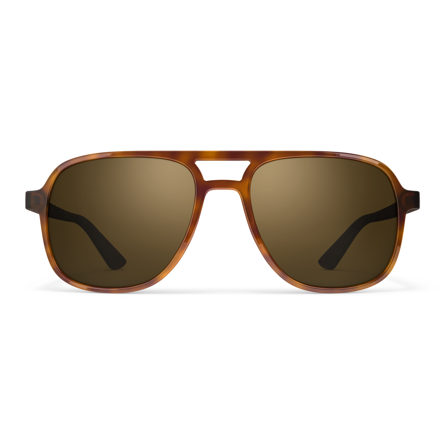 Howlin_Tortoise-frontview_new